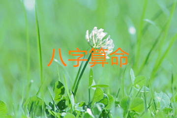 财运算命,财运测算.jpg