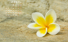 2021年2月2日生辰八字起名宝宝起名字喜用神.jpg