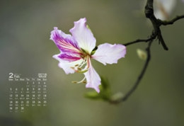 2021年3月30日生辰八字起名宝宝起名字喜用神.jpg