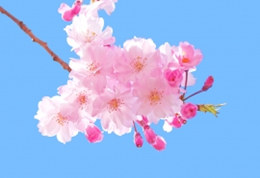2021年6月26日宝宝起名字生辰八字起名喜用神.jpg