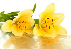 202012051135563018.jpg