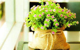 202102231528461665.jpg 202102231528461665.jpg