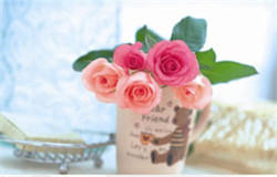 202105071912020392.jpg 202105071912020392.jpg