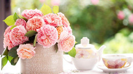 202010121709452815.jpg 202010121709452815.jpg